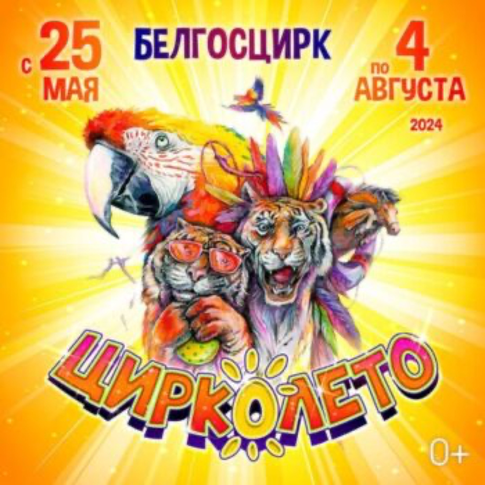 ЦИРКОЛЕТО